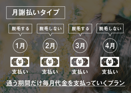 月謝プラン説明画像